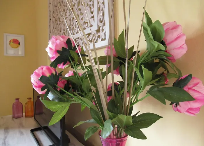 فندق Casa Sandra Oasis Tamarindo كوراليهو