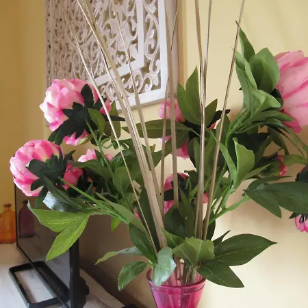 Ξενοδοχείο Casa Sandra Oasis Tamarindo Κοραλέχο